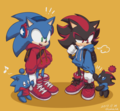 Shadow and Sonic - shadow-the-hedgehog fan art