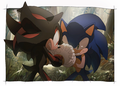 Shadow vs Sonic - shadow-the-hedgehog fan art