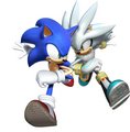 Sonic and Silver - silver-the-hedgehog photo
