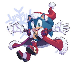  Sonic the 🦔