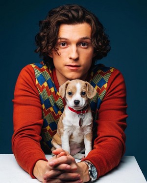 Tom Holland and Puppies - 2022
