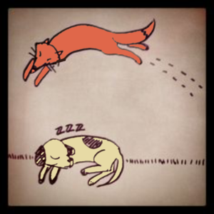  260 The Quïck Brown 狐, フォックス Jumps Over The Lazy Dog Ideas