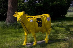 Deco Cow Show Me - Free photo