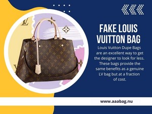  Fake Louis Vuitton Bag