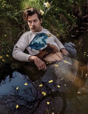 Harry x Better Homes and Gardens