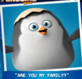 No! im not your family - penguins-of-madagascar photo