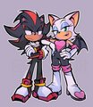 sonic-the-hedgehog - rouge and shadow wallpaper