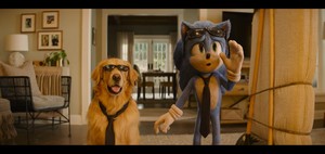  sonic and ozzie