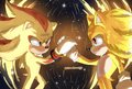 sonic-the-hedgehog - sonic and shadow wallpaper