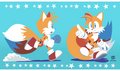 sonic-the-hedgehog - tails wallpaper