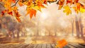 autumn - 🍂Autumn adventures🍁 wallpaper