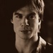 Damon Salvatore- Pilot  - fred-and-hermie icon