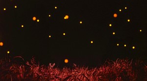  Grave of the Fireflies Scenery