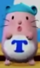  hamster T