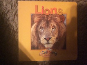  Lions sách
