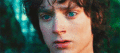 Mr frodo - lord-of-the-rings photo