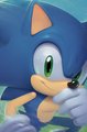 Sonic - sonic-the-hedgehog photo