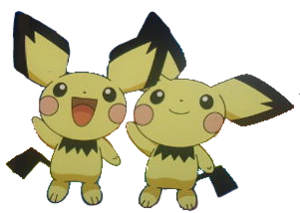  The Pichu brothers