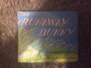  The Runaway Bunny বই