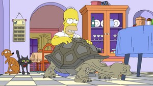  The Simpsons ~ 34x01 "Habeus Tortois"
