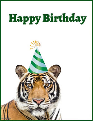 Tiger Birthday Card