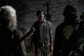 11x20 ~ What's Been Lost ~ Lance, Carol and Daryl - the-walking-dead photo