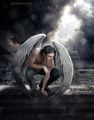 Aesthetic Angels🌺 - angels photo