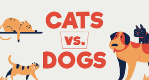  Katzen vs. Hunde