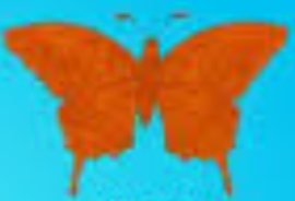  оранжевый бабочка