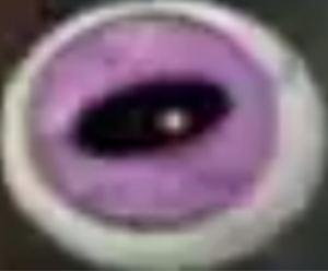  गुलाबी Eyeball