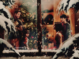  Robin/Regina fond d’écran - Christmas
