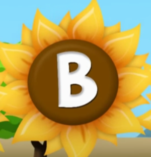  Sunflower B