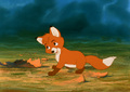 The Fox & the Hound (1981) - classic-disney photo