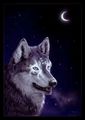 Under The Moon 💜 - wolves fan art