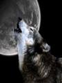Under The Moon 💜 - wolves fan art