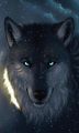 Under The Stars 💜 - wolves fan art
