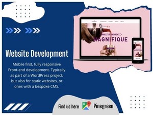  Website Development Near Me