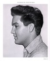 Elvis Presley | 1961 | Follow that Dream - music photo