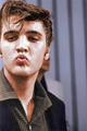 Elvis Presley - elvis-presley photo