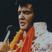 Elvis ♡ - elvis-presley icon