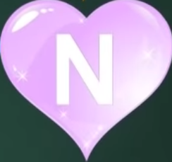  jantung N