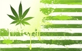 jlhfan624 - Marijuana wallpaper