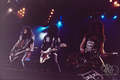 Paul, Bruce and Gene ~St. Paul, Minnesota...December 3, 1992 (Revenge Tour)  - kiss photo