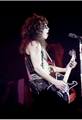 Paul ~Springfield, Massachusetts...January 27, 1978 (Alive Tour) - kiss photo