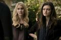 Rebekah and Hayley  - tv-female-characters photo