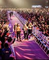 Roman, Solo, Jimmy and Paul | Royal Rumble | January 28, 2023 - wwe photo