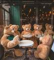 Teddy Bears - daydreaming photo
