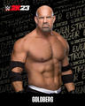 WWE 2K23 • Goldberg - wwe photo