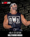 WWE 2K23 • Hollywood Hogan - wwe photo