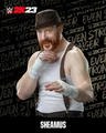 WWE 2K23 • Sheamus - wwe photo